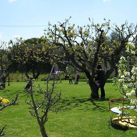 Agriturismo Arangea Lequile ภายนอก รูปภาพ